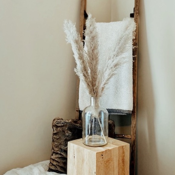 PAMPAS GRASS dried natural grasses 3 STEMS - Picture 1 of 3